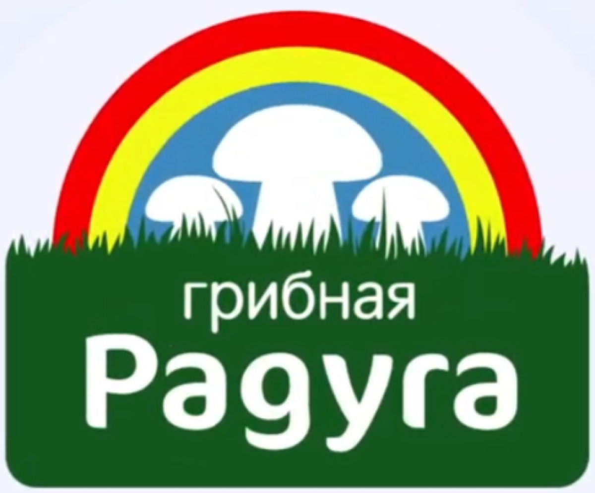 «Грибная радуга» Курск, Фото