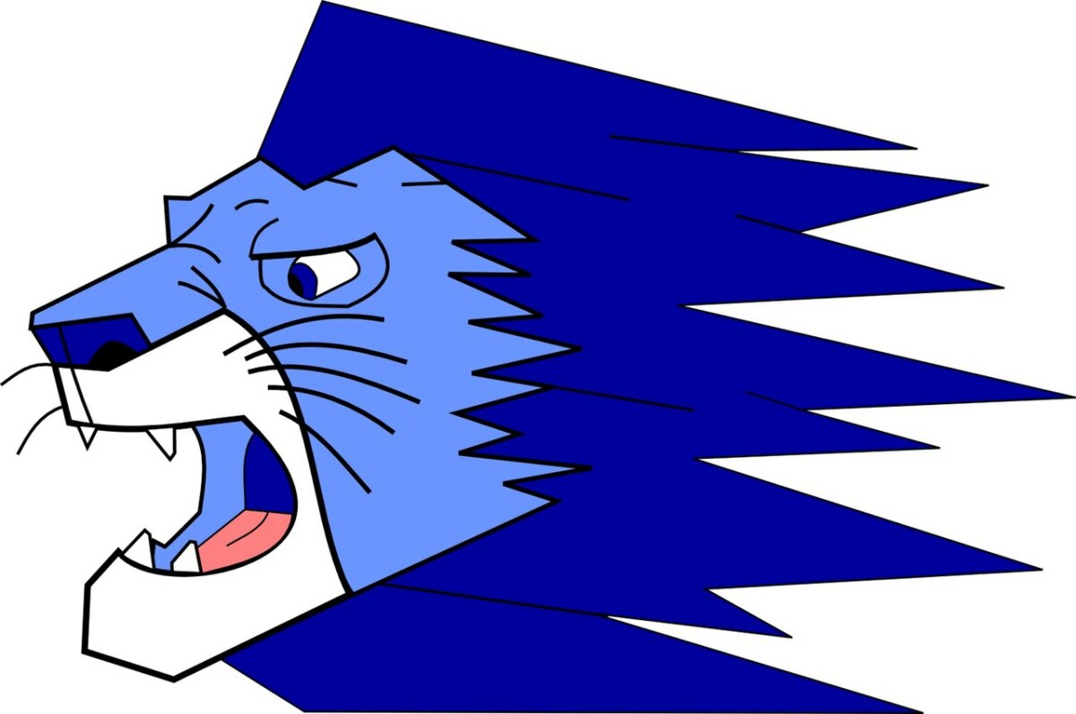 «Акаа Футзал» Акаа, Фото