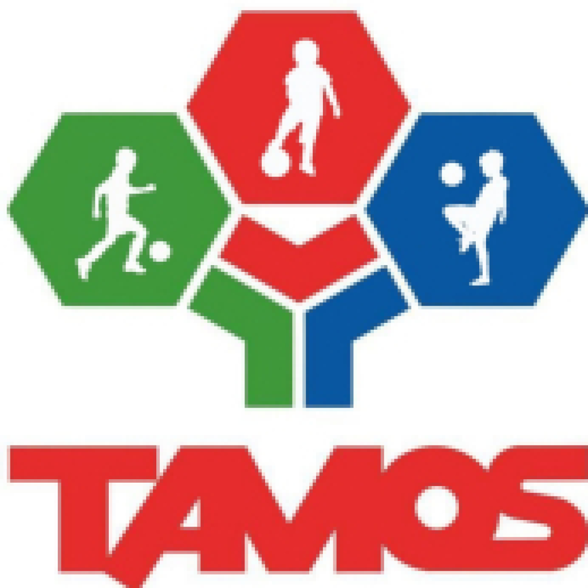 ФШ «Тамос» Алма-Ата, Фото