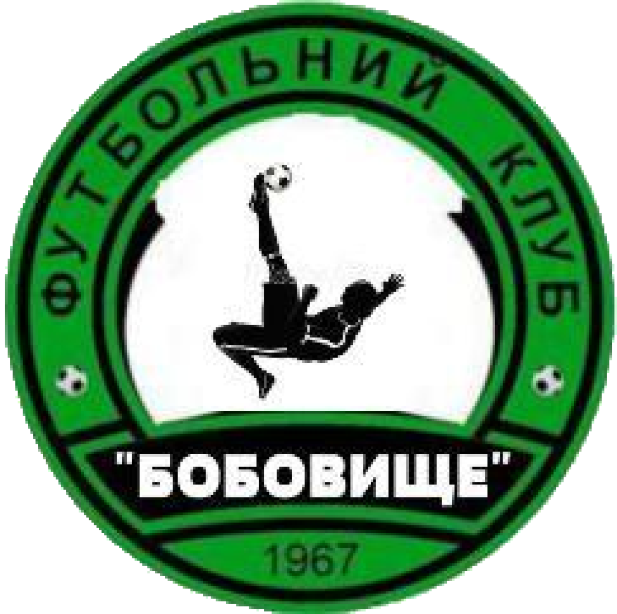 ДФК «Бобовище» Бобовище, Фото