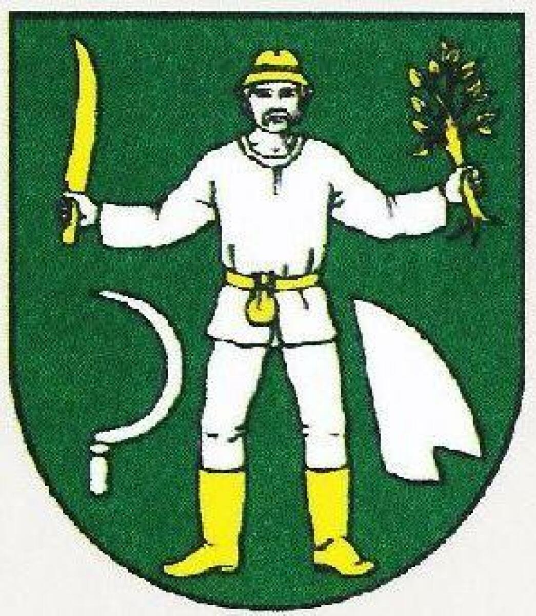 «Вояни» Вояни, Фото