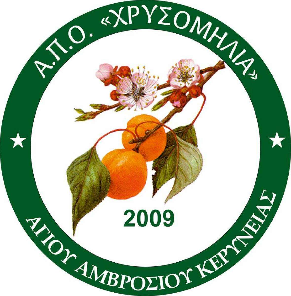 «Крисомилия Агиос-Амбросиос» Кириния, Фото