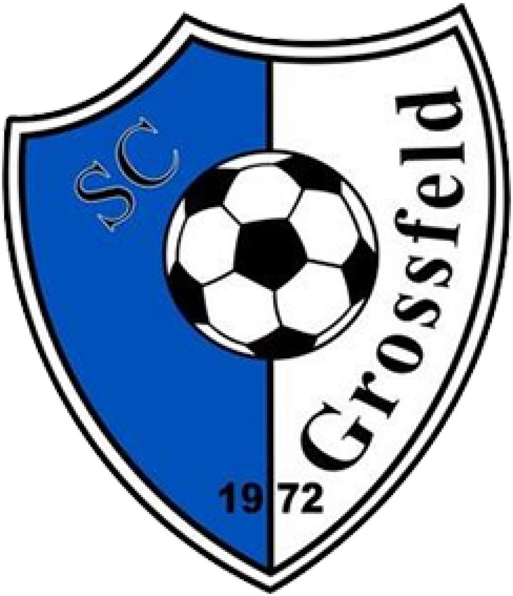 ФШ «1. ШК Гросфельд» Вена, Фото