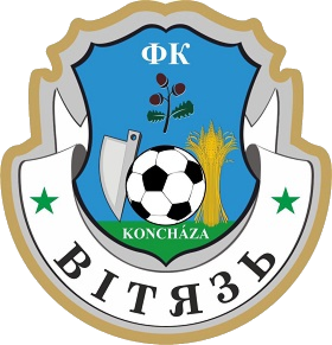 ДФК «Витязь» Концово, Фото