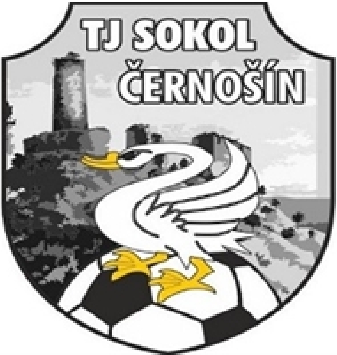 «Сокол» Черношин, Фото
