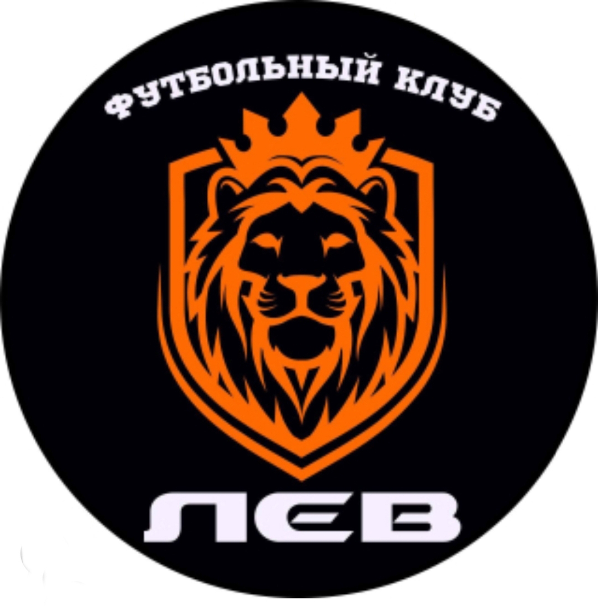 «Лев» Красноярск, Фото