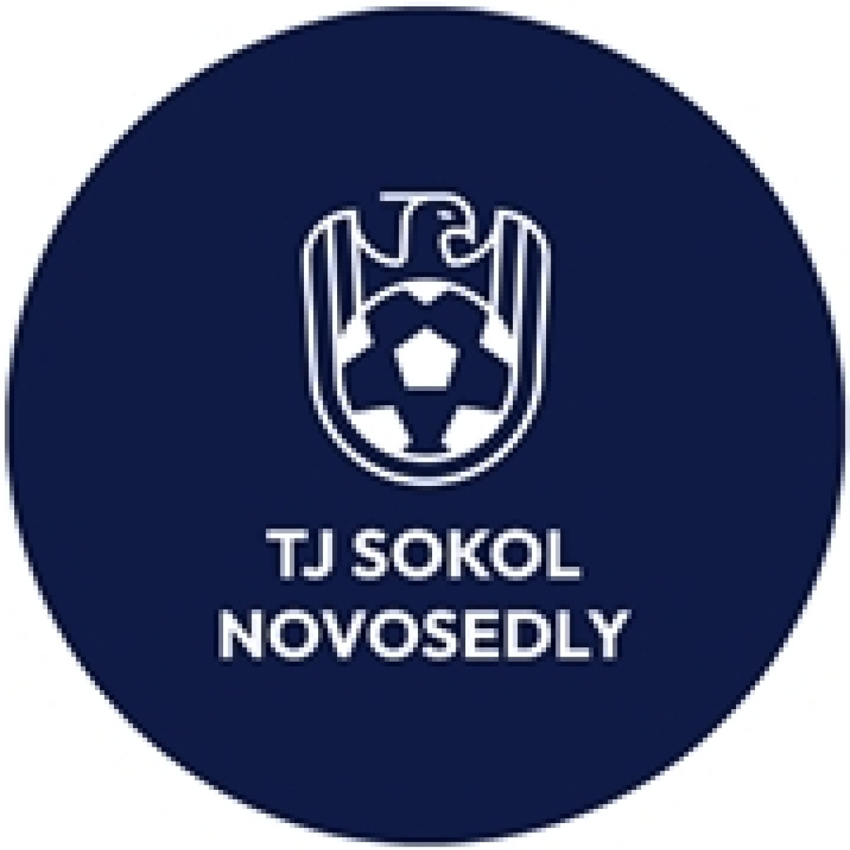 «Сокол» Новоседли, Фото