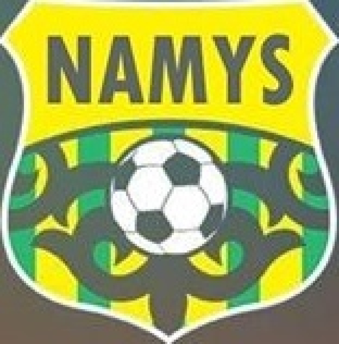 ДФК «Намыс» Актау, Фото