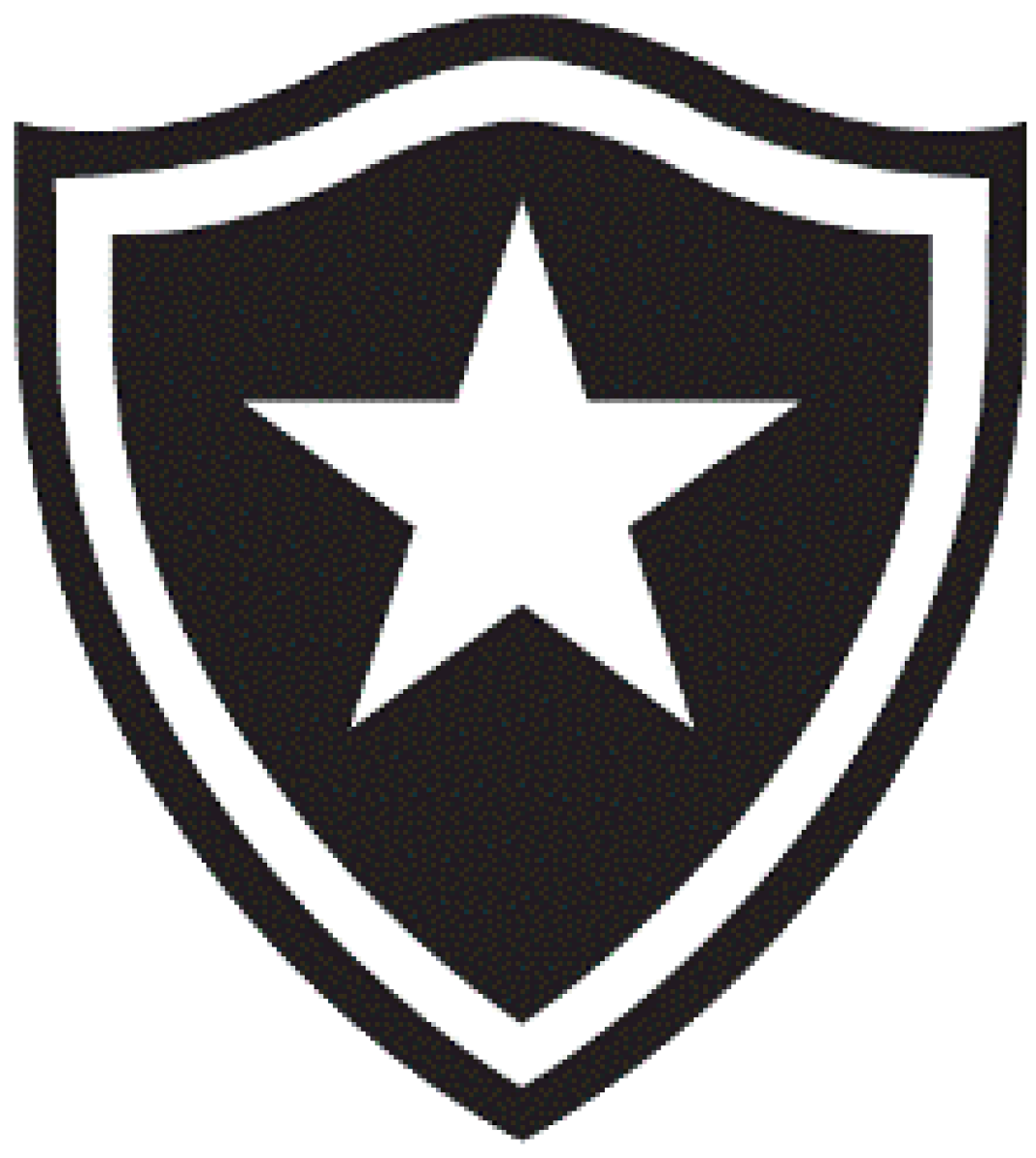 «Ботафого U23» Рио-де-Жанейро, Фото