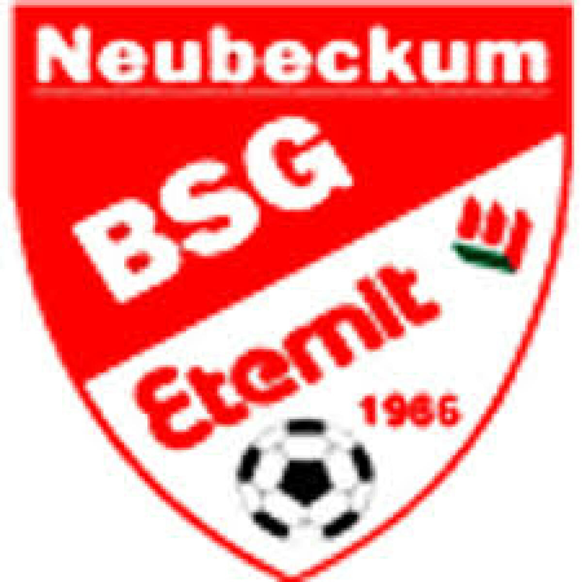 «Этернит» Беккум, Фото