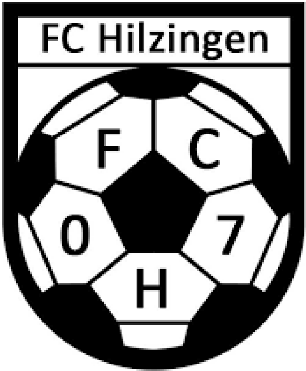 ФШ «Хильцинген» Хильцинген, Фото