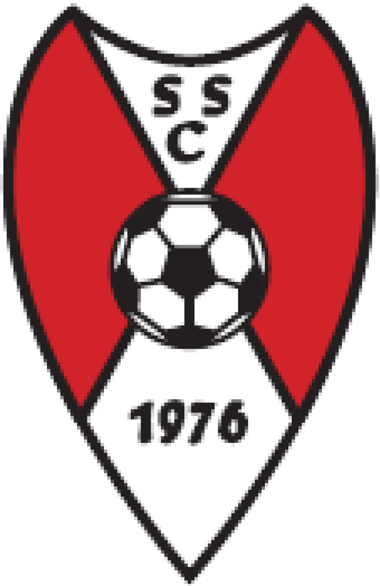 ФШ ШШК «Донауэшинген» Донауэшинген, Фото