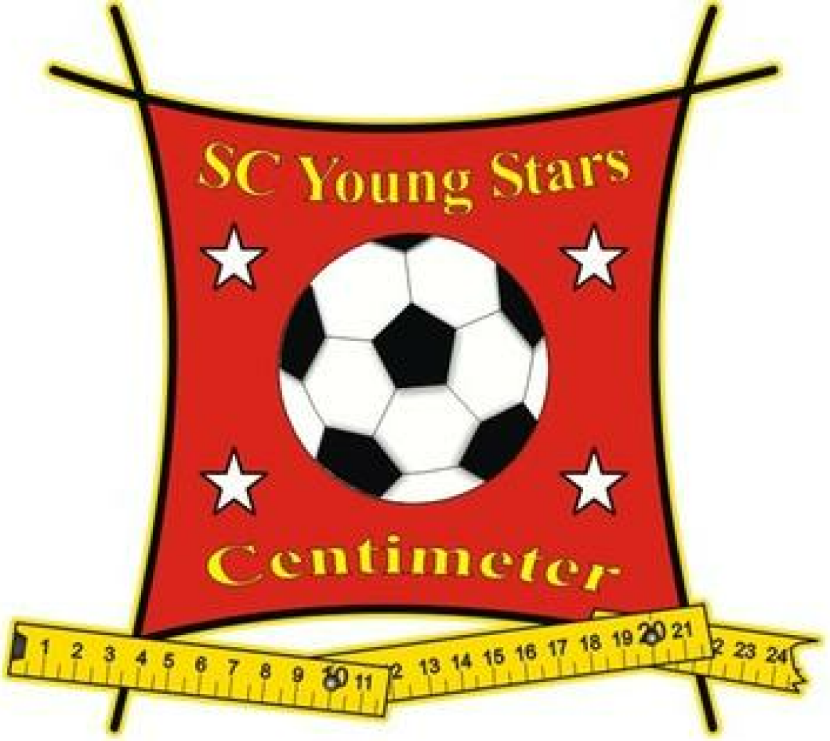 ФШ «Янг Старз - Сентиметр» Вена, Фото