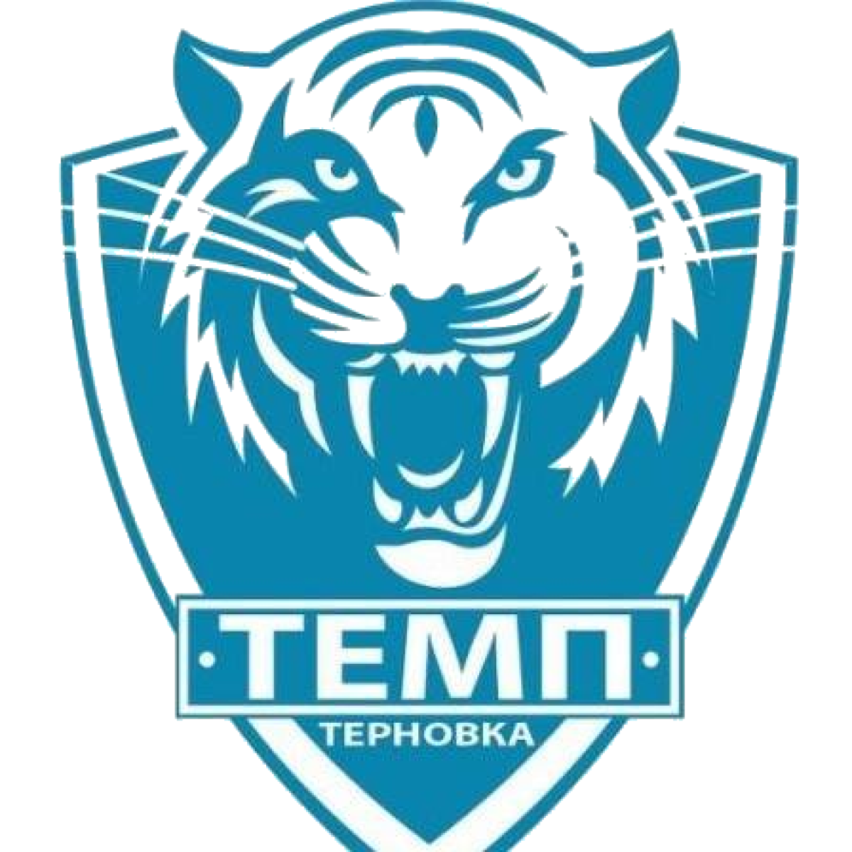 ДЮСШ «Темп» Терновка, Фото