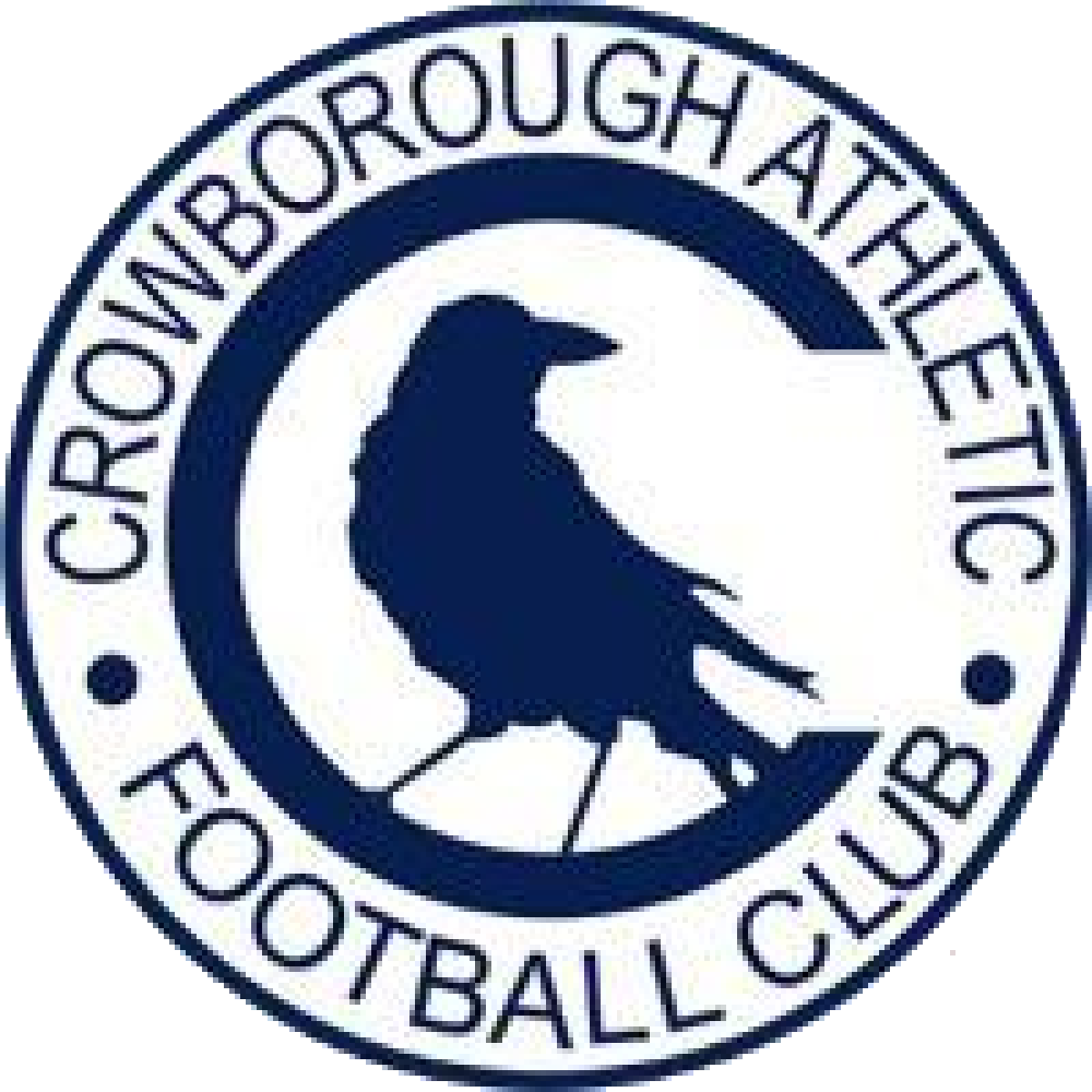 ФШ «Кроуборо Атлетик» Кроуборо, Фото