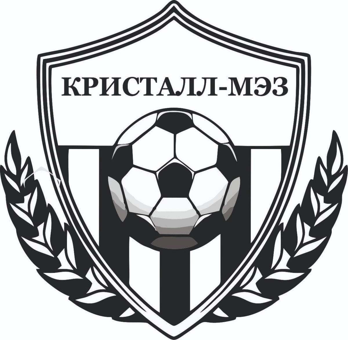 «Кристалл-МЭЗТ» Борисоглебск, Фото