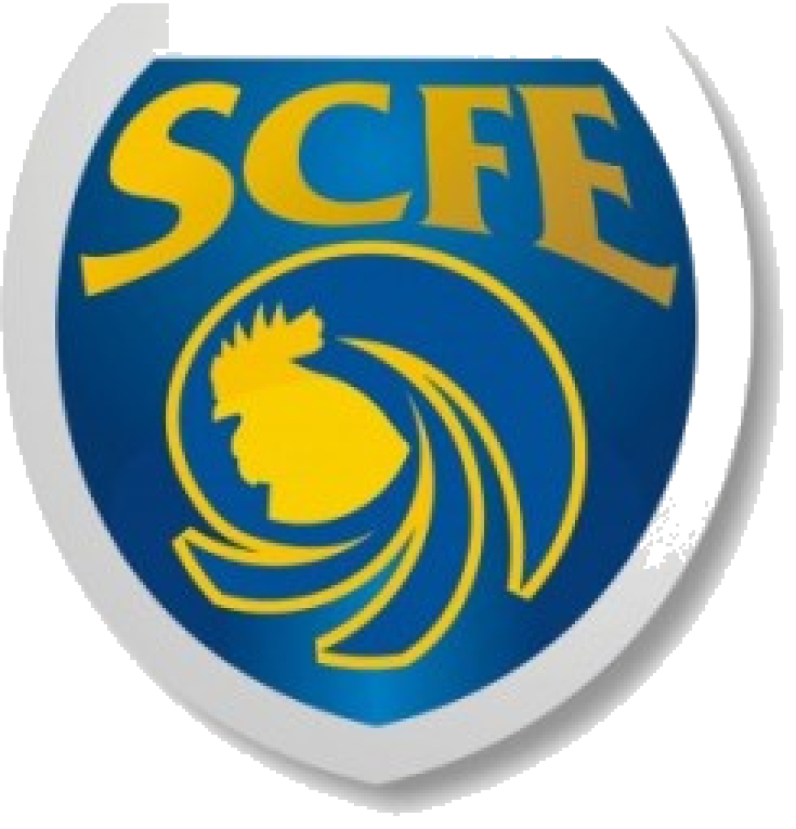 ФШ «Сампайо Корреа» Сакуарема, Фото