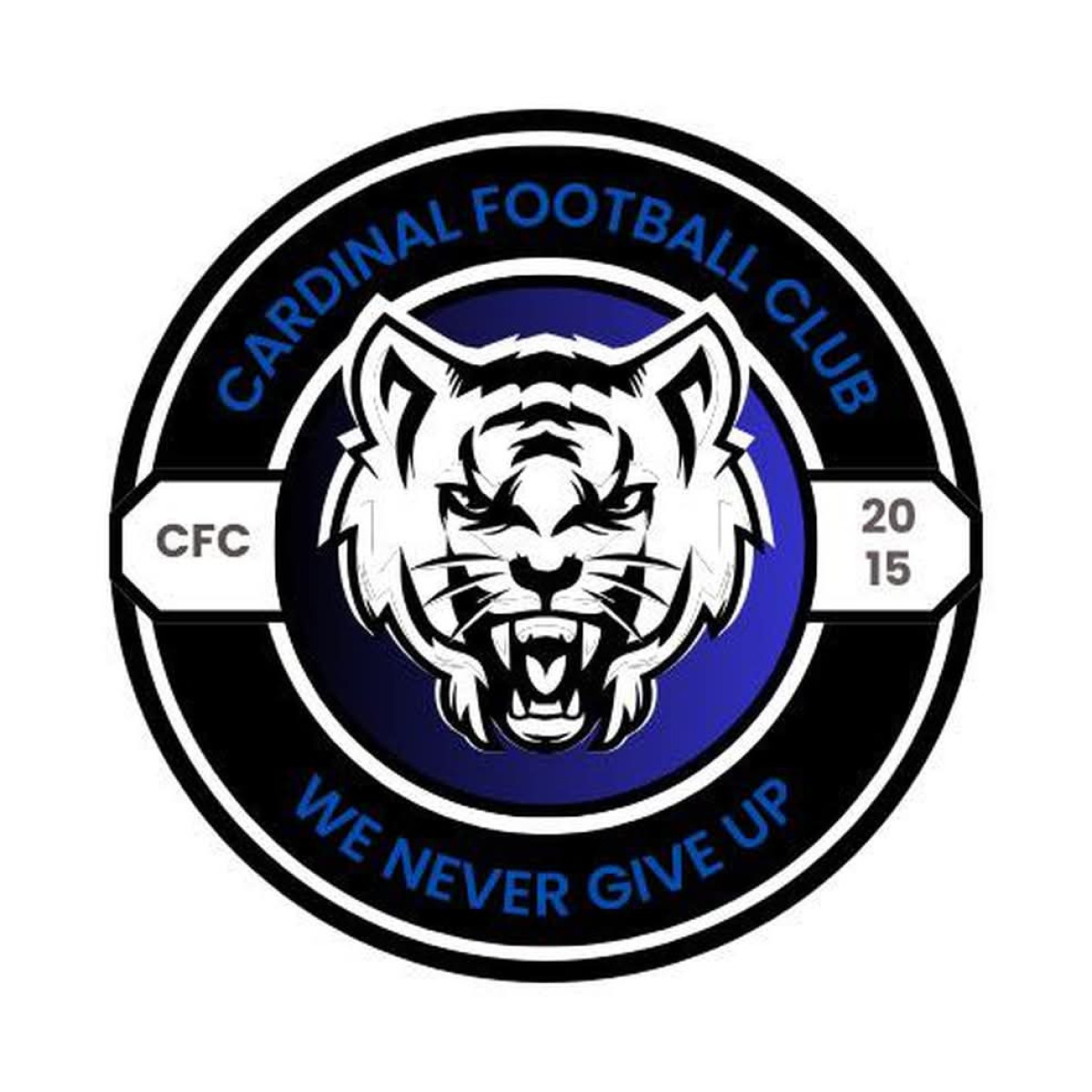 ФА «де Кардинал» Порт-Харкорт, Фото