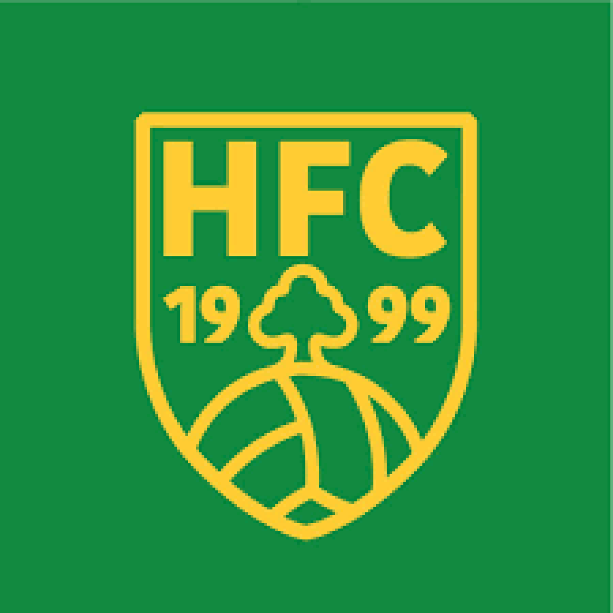 ФШ  «Хилли Филдс» Лондон, Фото