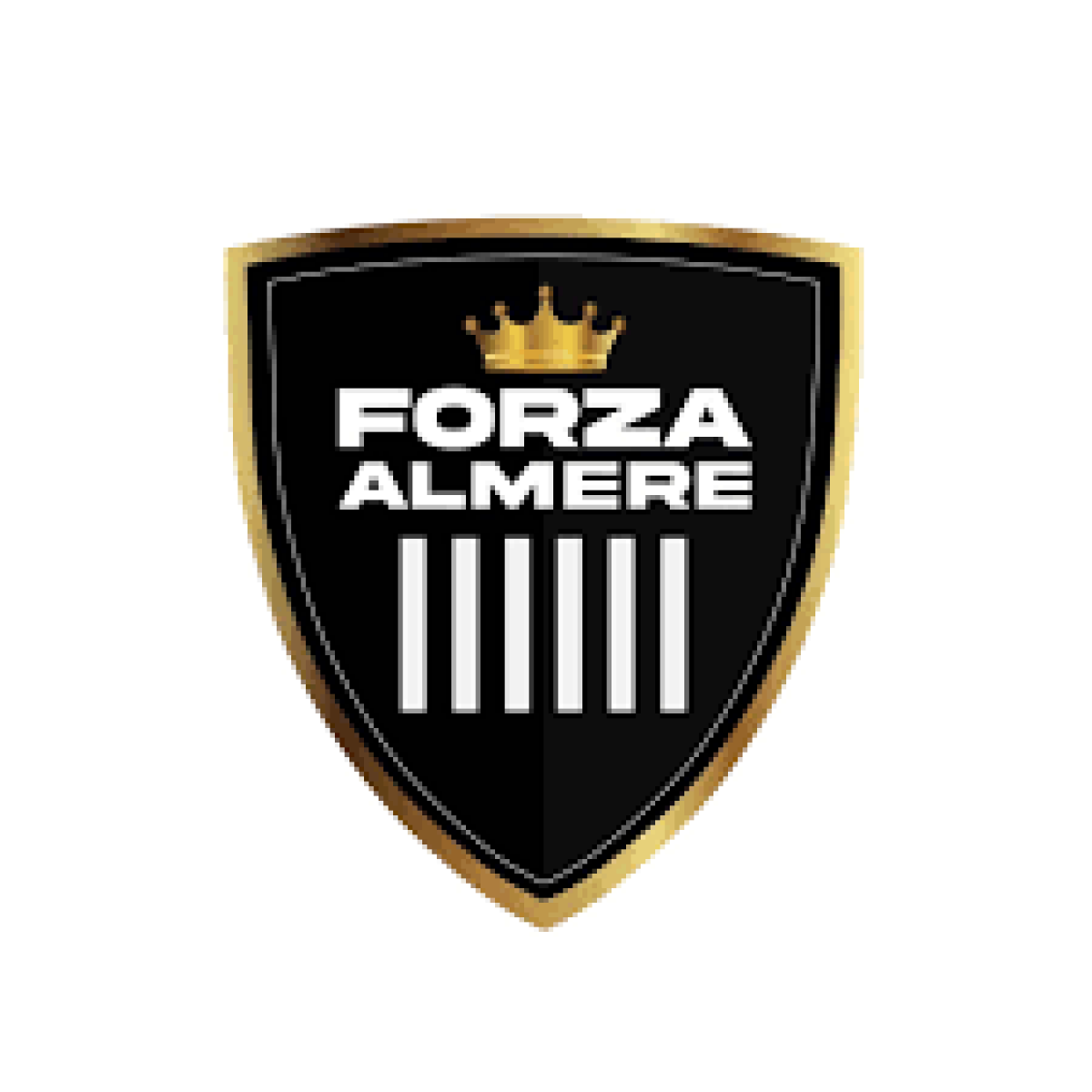 ФШ «Форца Алмере» Алмере, Фото