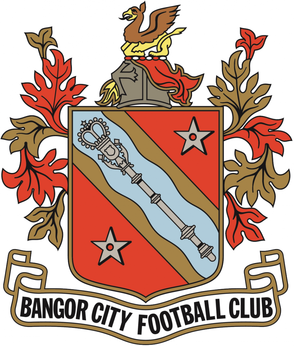 ФШ «Бангор Сити» Бангор, Фото