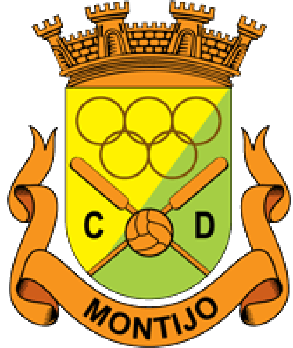 ФШ «Олимпику» Монтижу, Фото