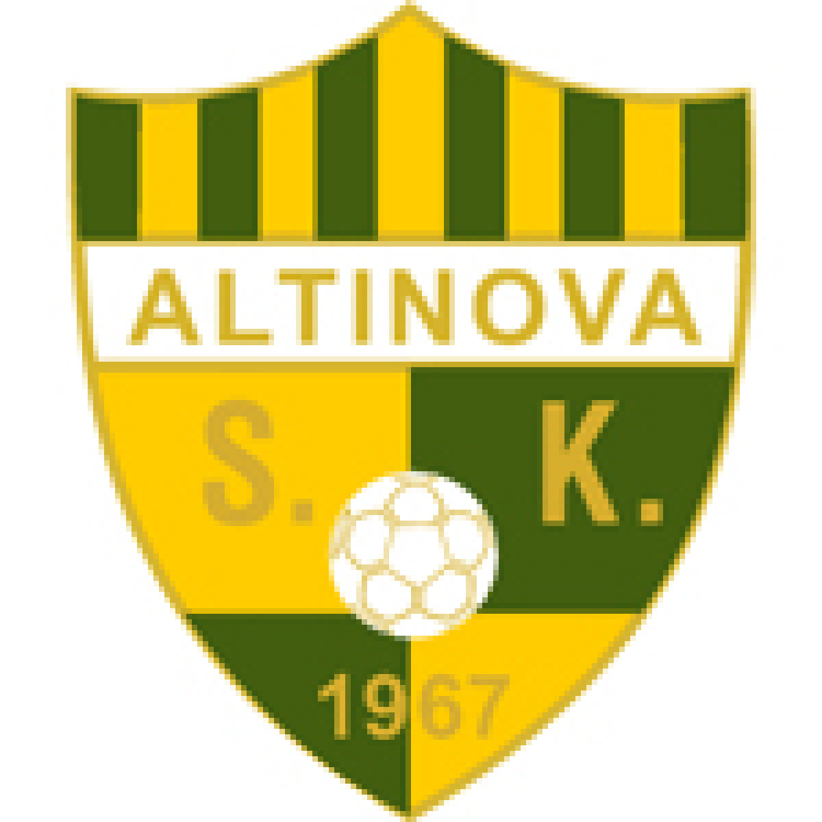 ФШ «Алтинова» Стамбул, Фото