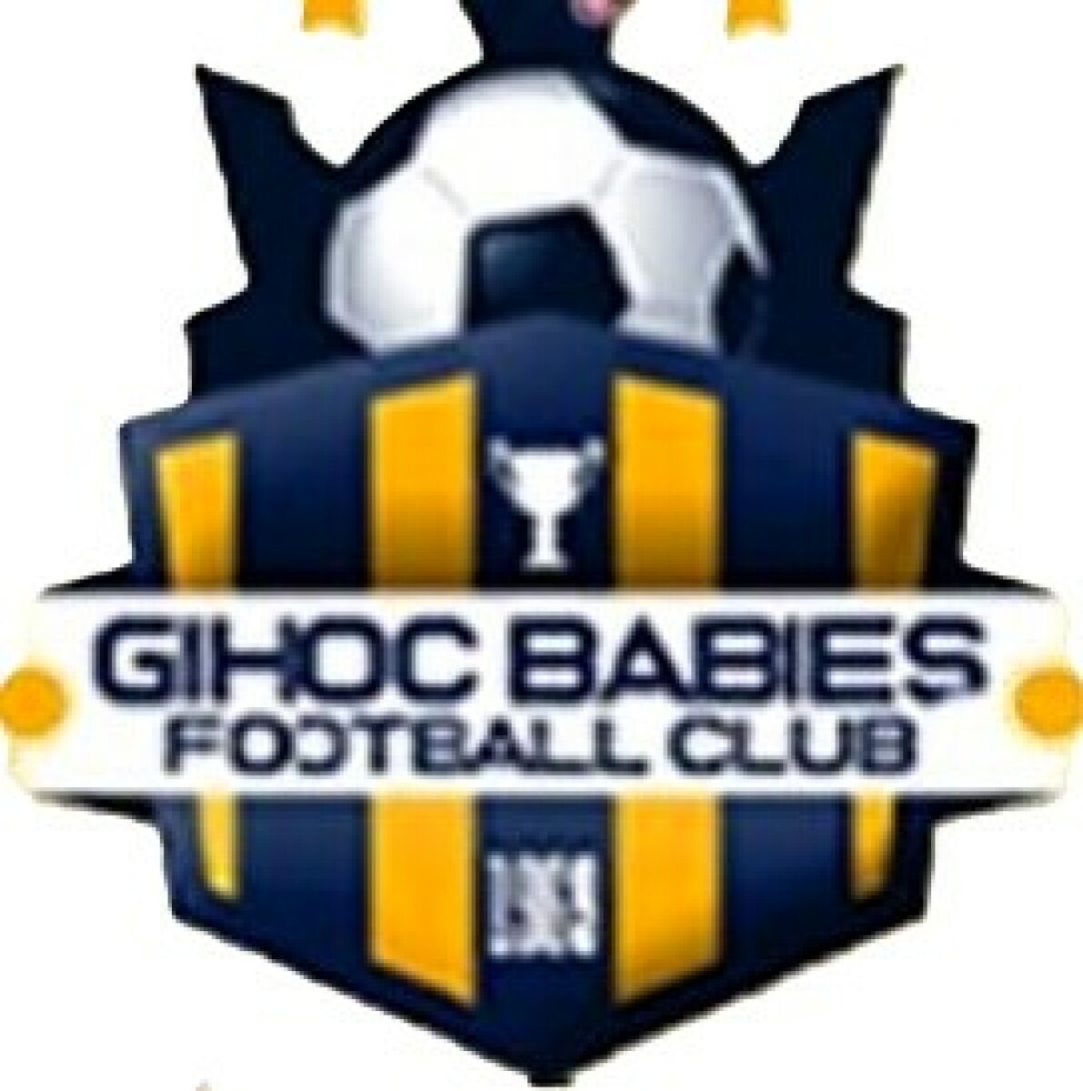 ФШ «ГИХОС Бейбиз» Кумаси, Фото