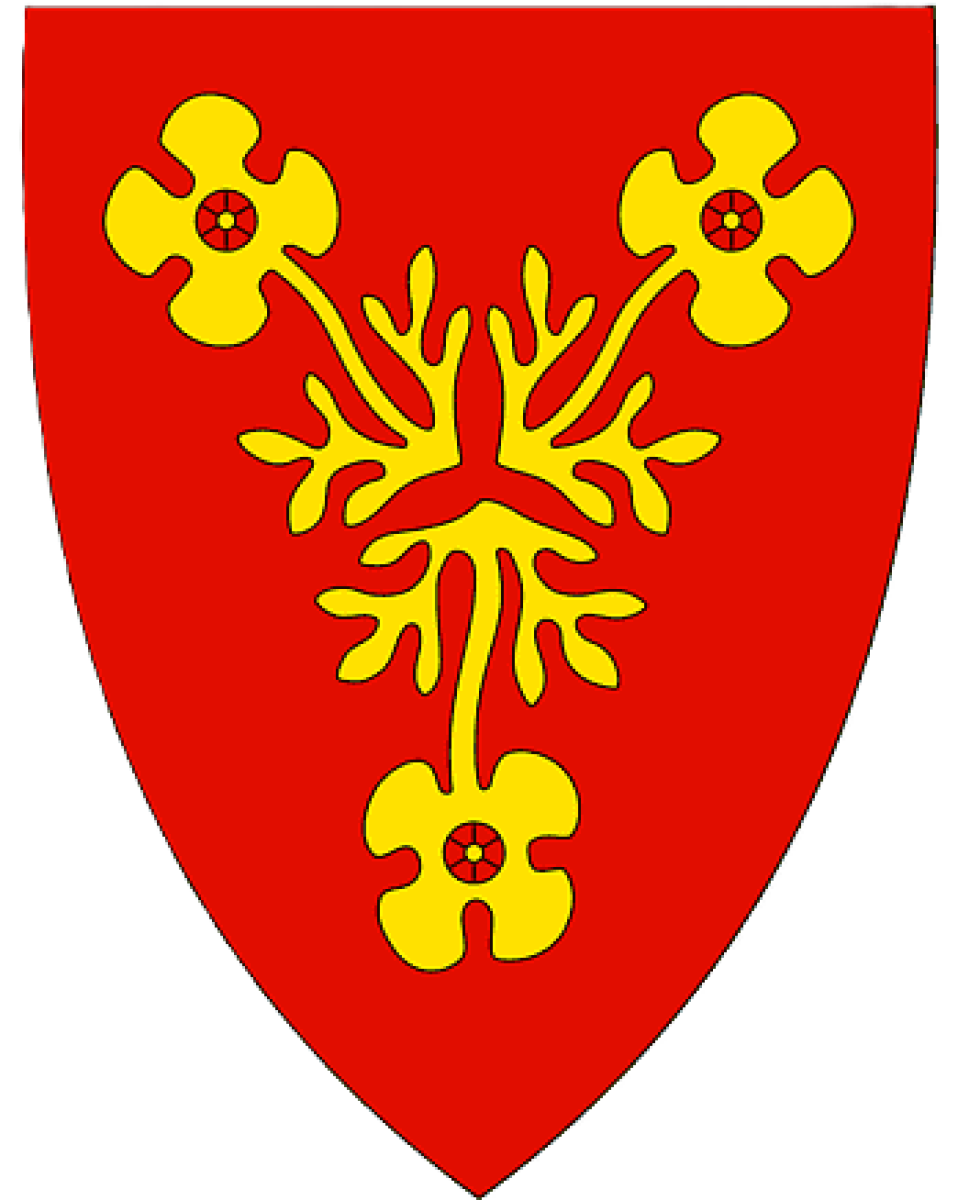 «Олтения» Румыния, Фото