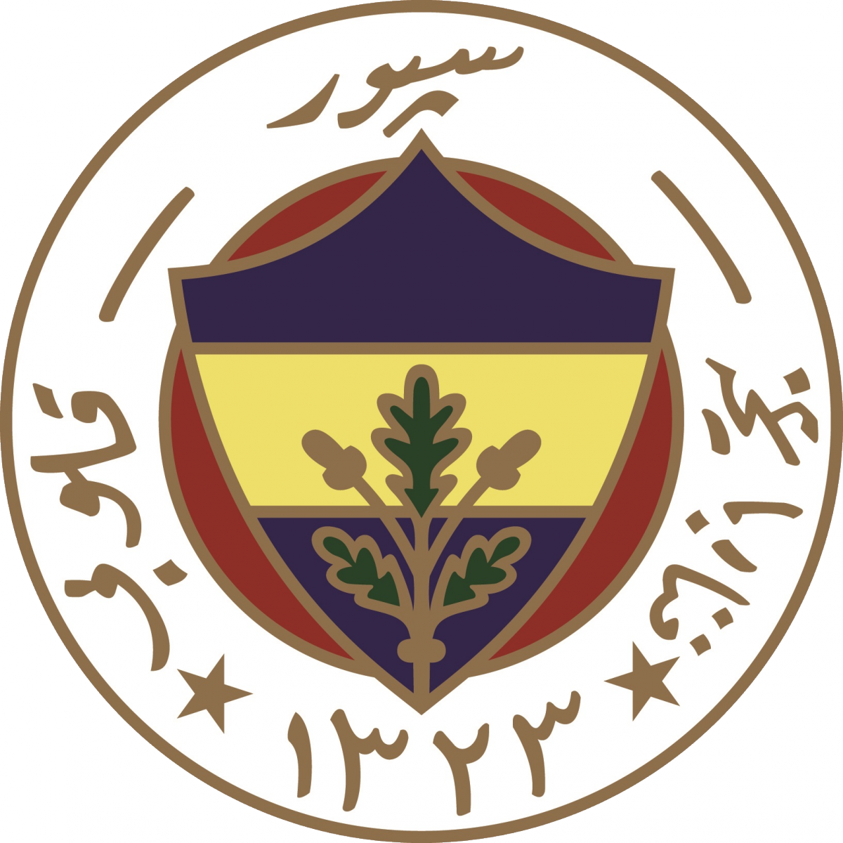 «Фенербахче-2» Стамбул, Фото