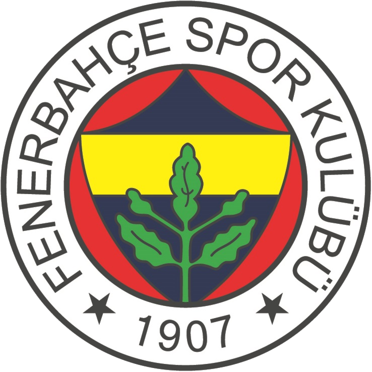 «Фенербахче-2» Стамбул, Фото