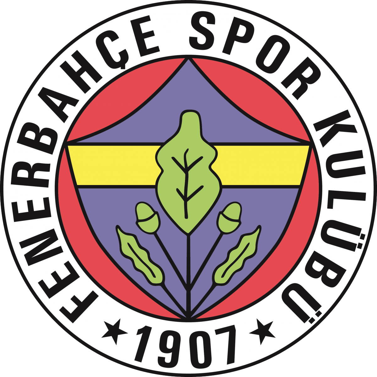 «Фенербахче-2» Стамбул, Фото