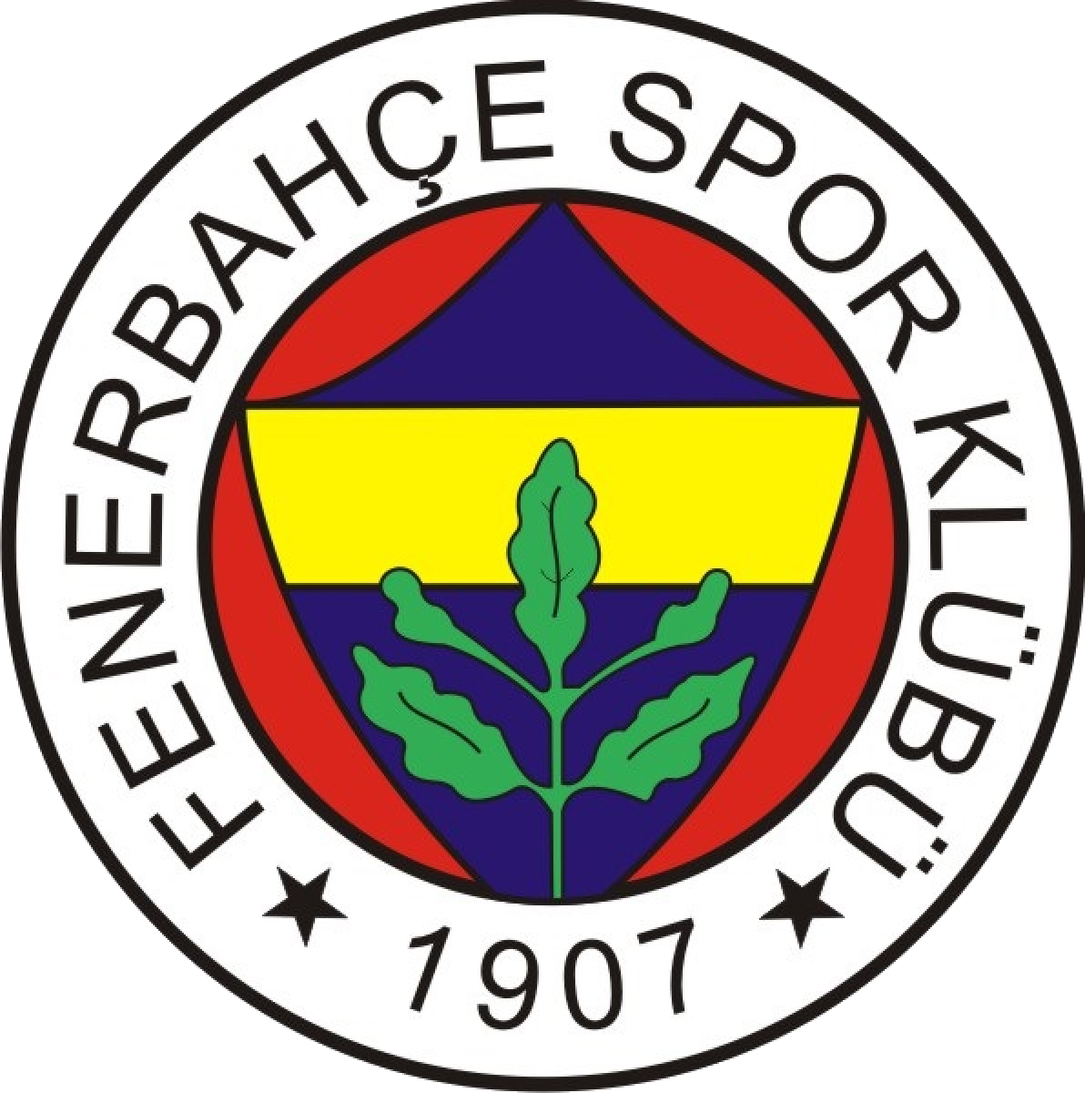 «Фенербахче-2» Стамбул, Фото