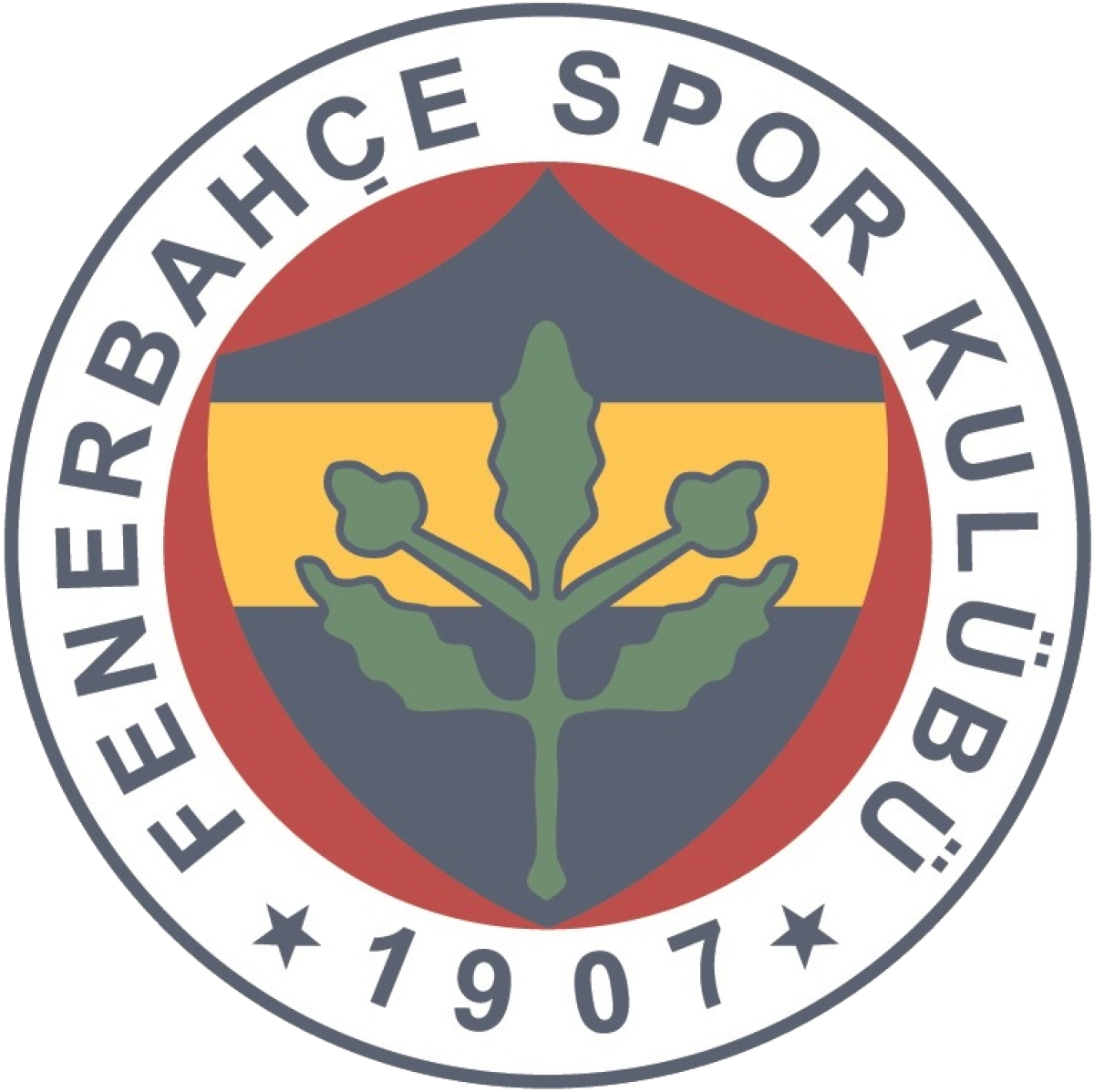 «Фенербахче-2» Стамбул, Фото