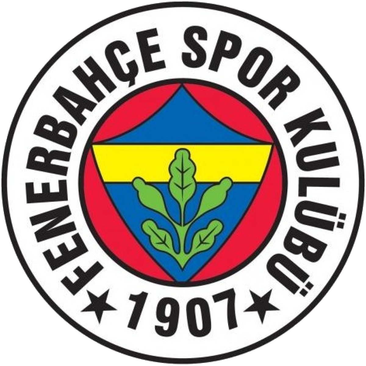 «Фенербахче-2» Стамбул, Фото