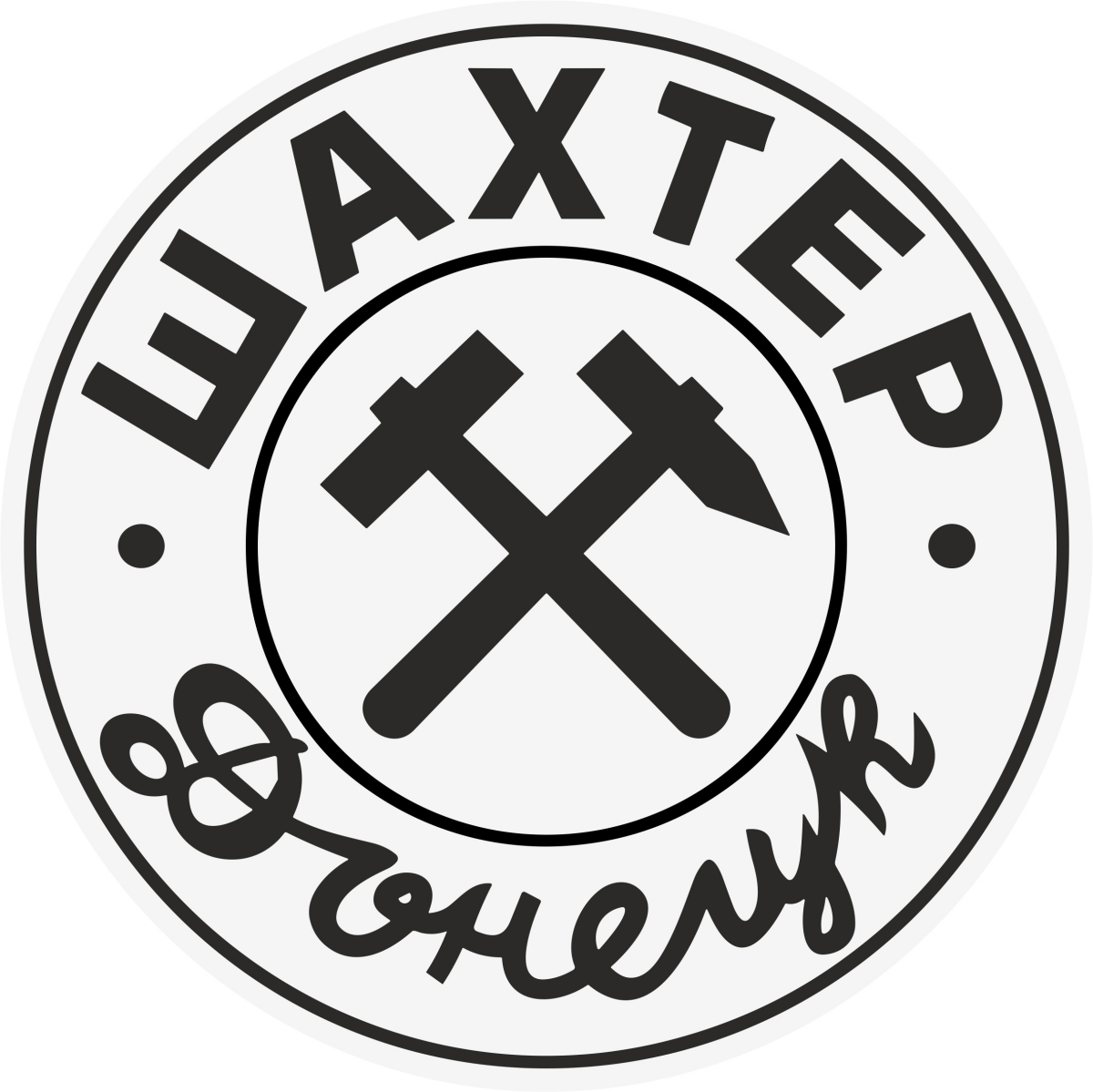 «Шахтёр-2» Донецк, Фото