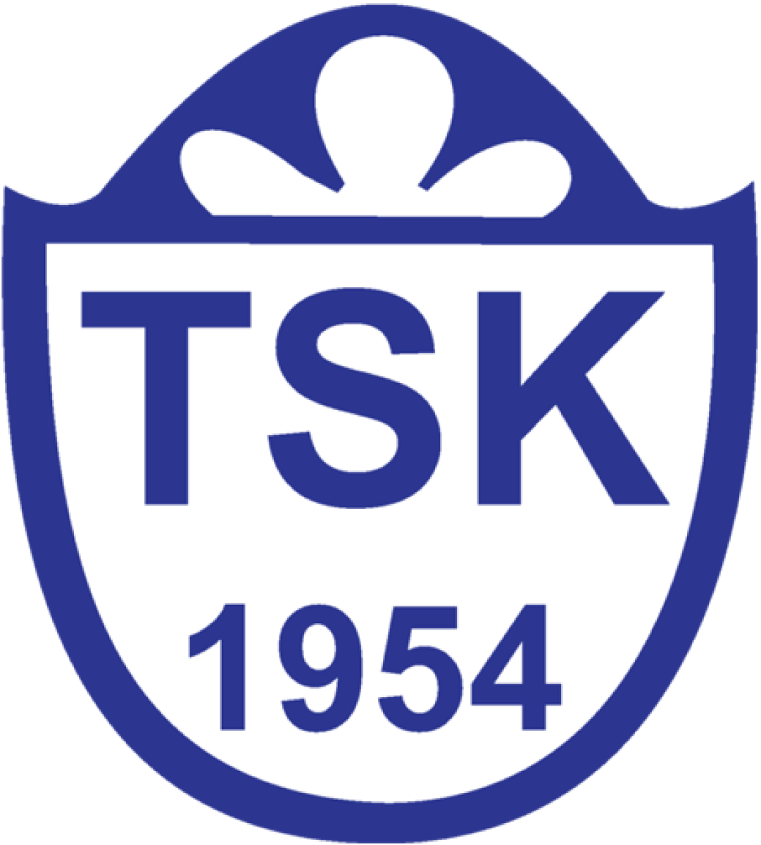 ФШ «Бейкоз Анадолу Спор» Стамбул, Фото