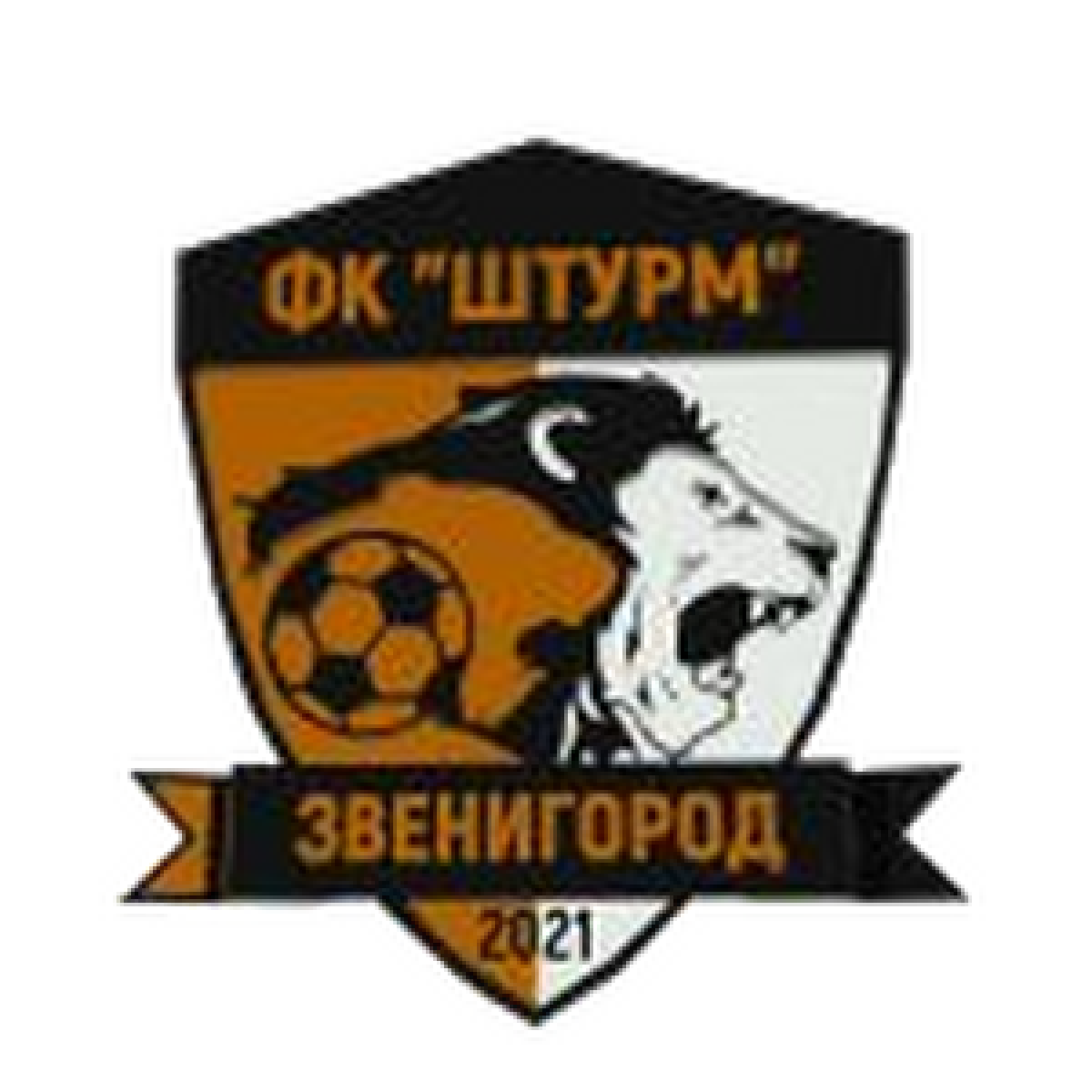 «Штурм» Звенигород, Фото