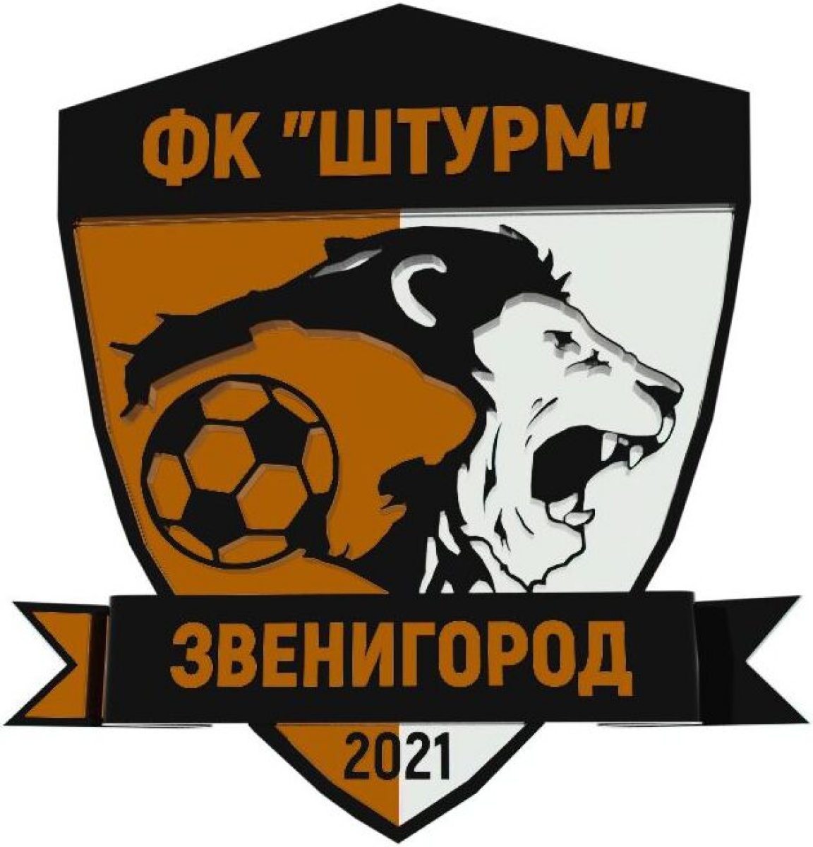 «Штурм» Звенигород, Фото