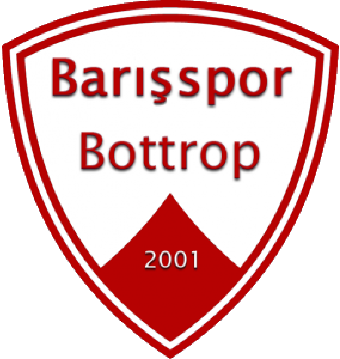 «Баришспор II» Ботроп, Фото