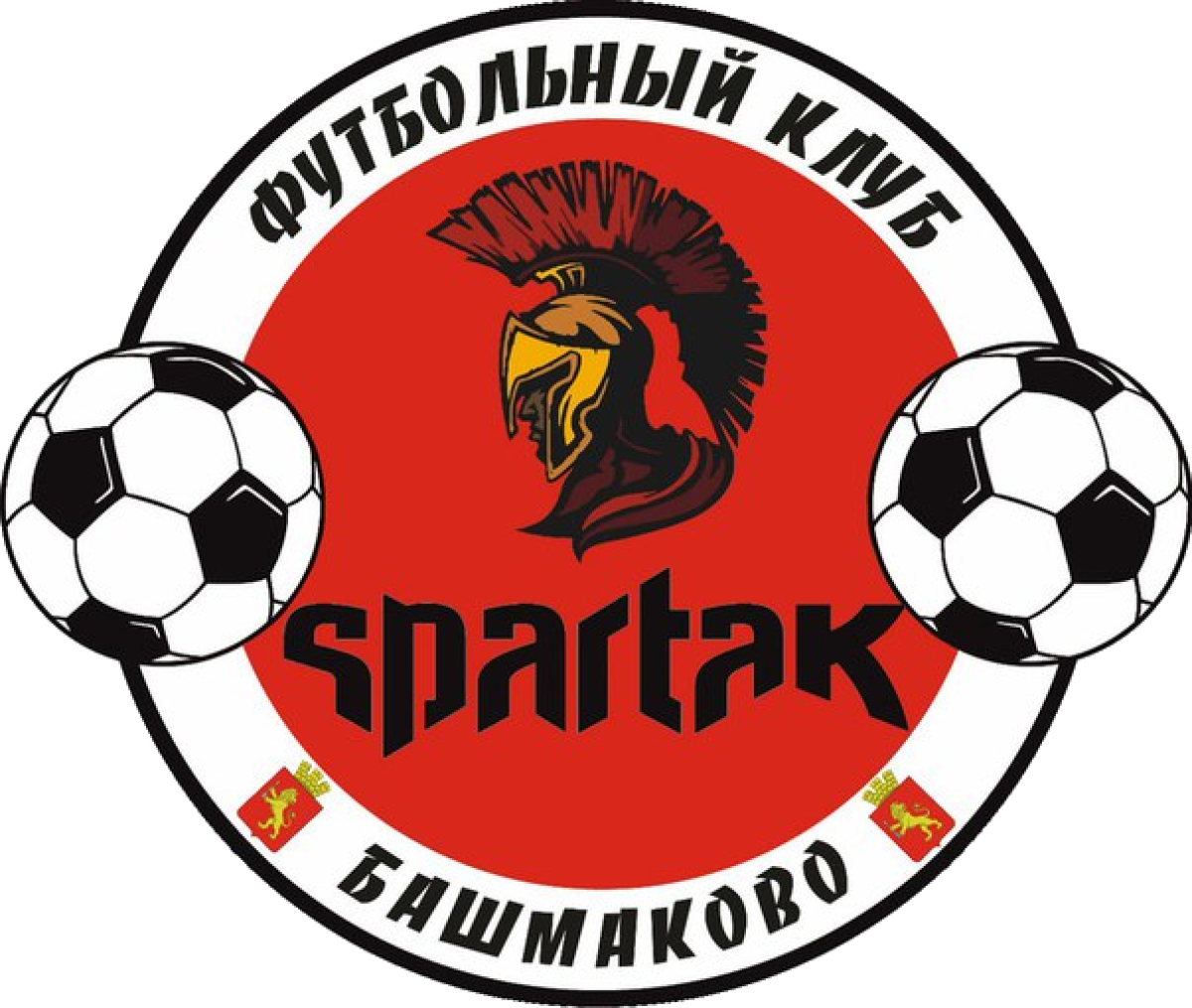 «Спартак» Башмаково, Фото