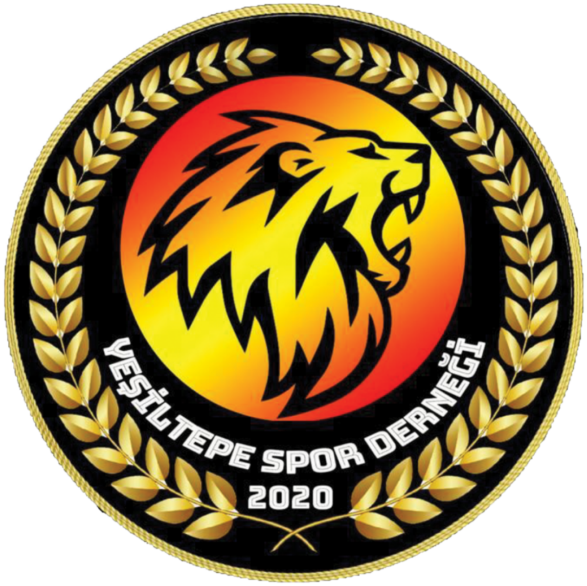 «Йешилтепе» Каравас, Фото