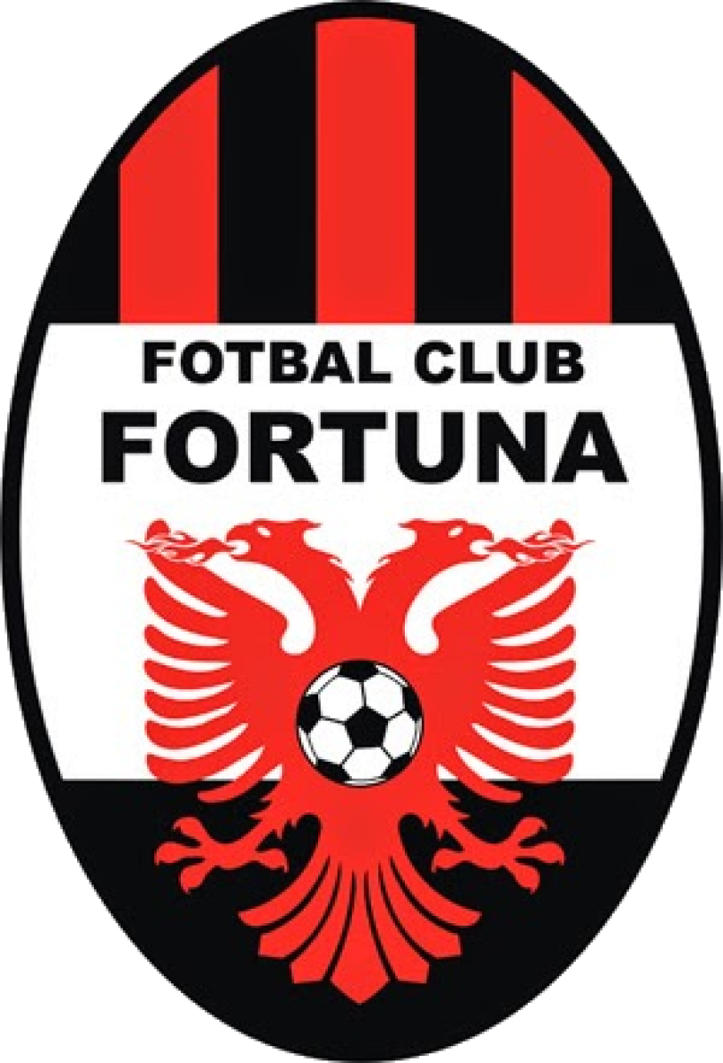 «Фортуна» Пояна-Кымпина, Фото