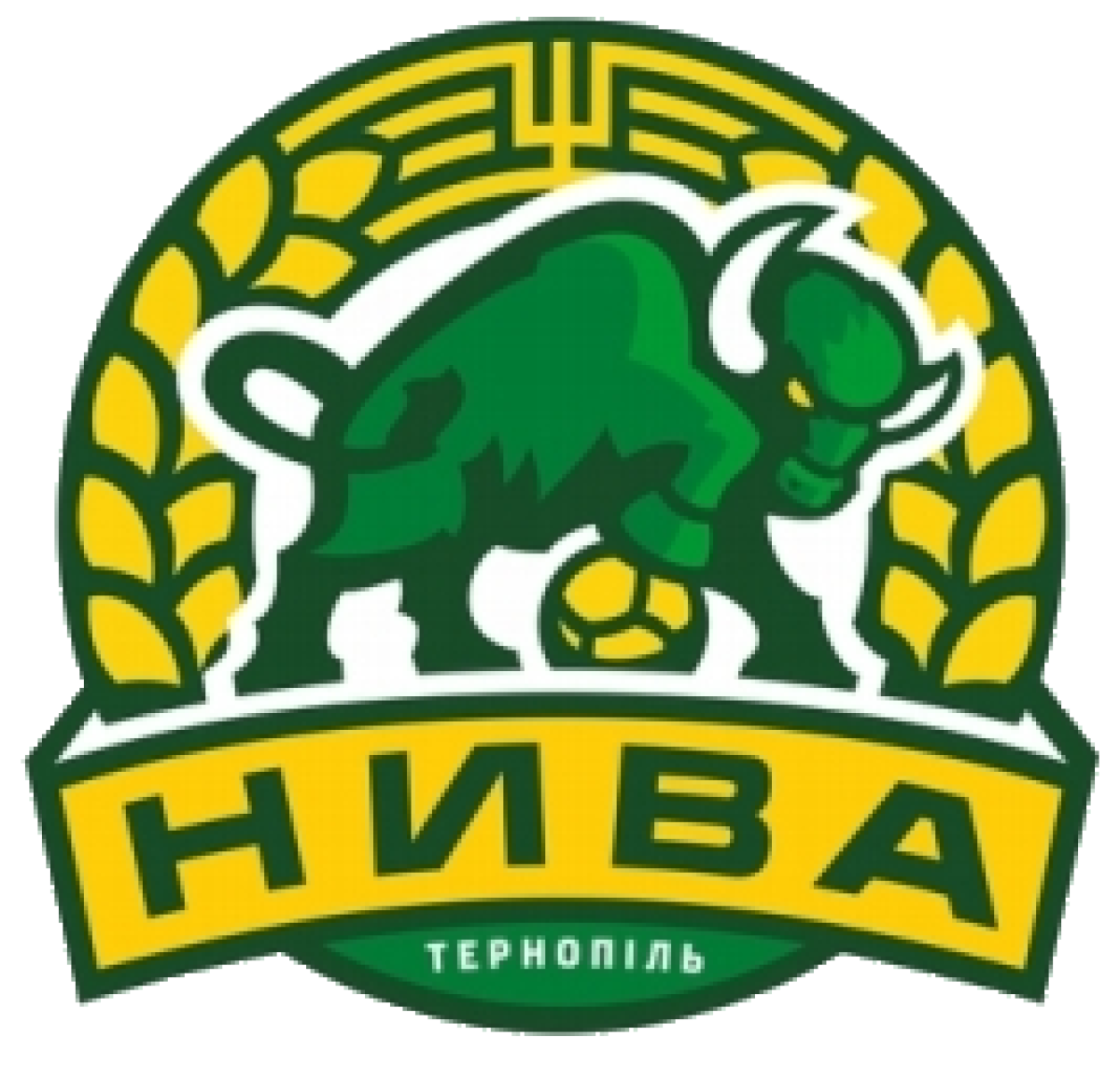 «Нива» Тернополь, Фото