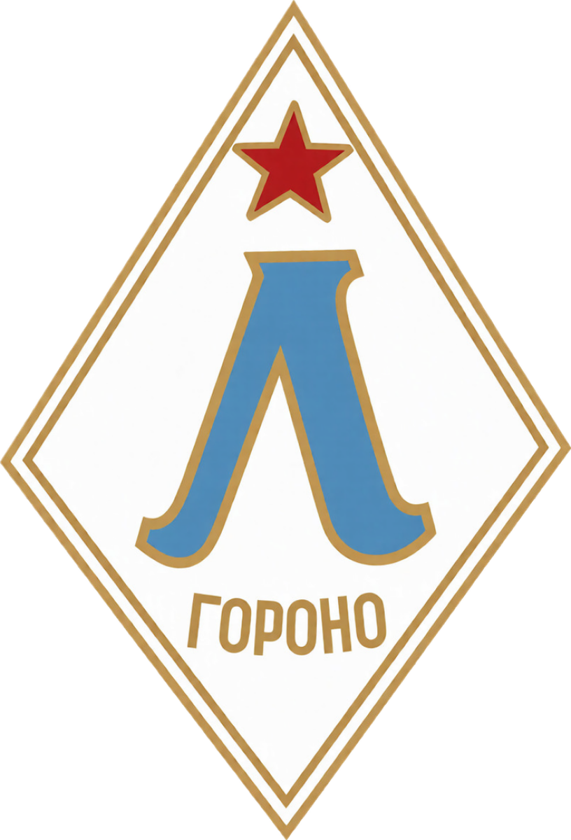 Академия ФК «Зенит» им. Дмитрия Бесова Санкт-Петербург, Фото