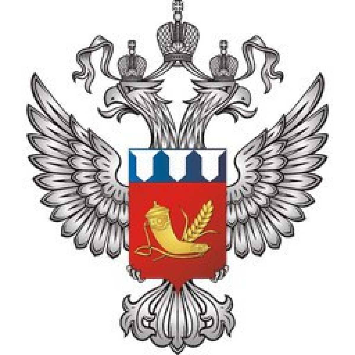 «Кохма» Кохма, Фото