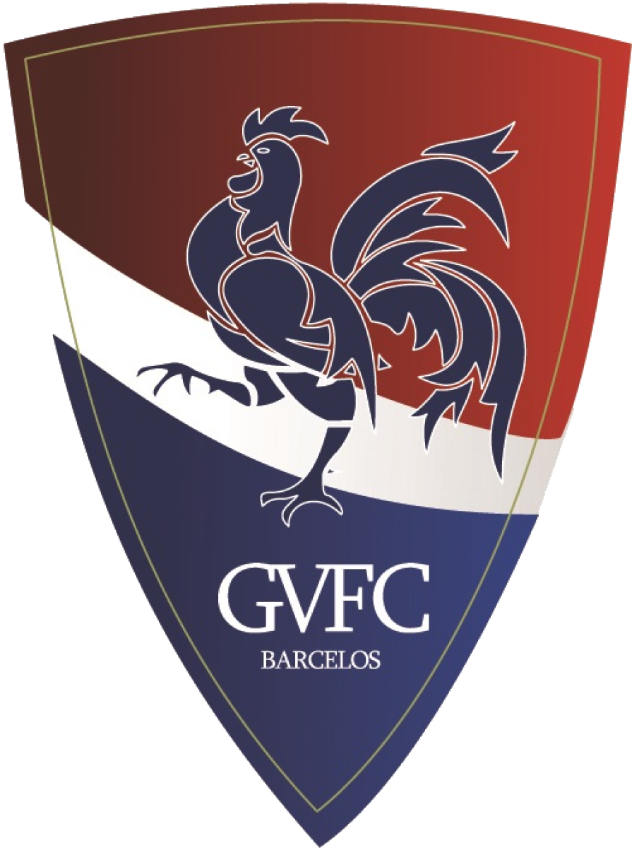 ФШ «Жил Висенте» Барселуш, Фото