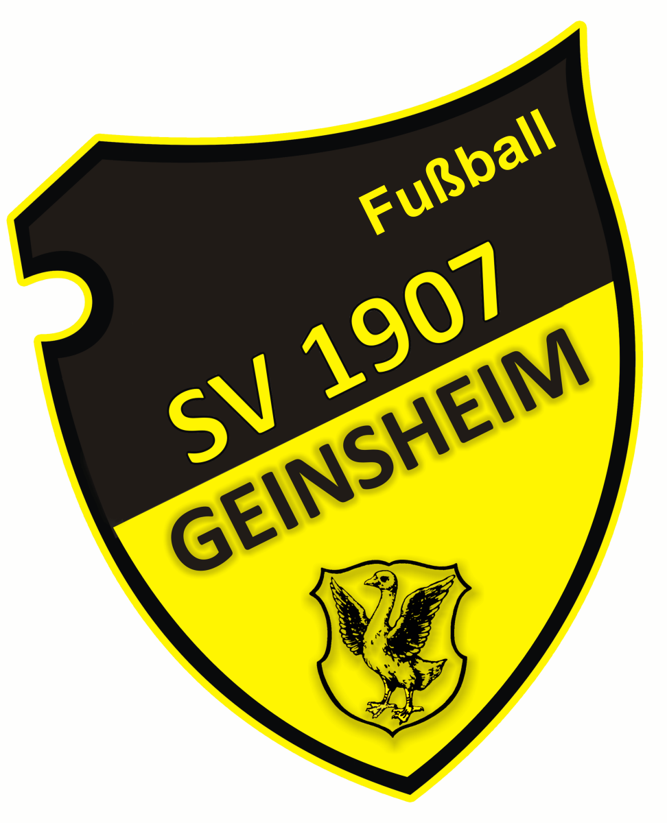 ФШ «Гайнсхайм-07» Требур, Фото