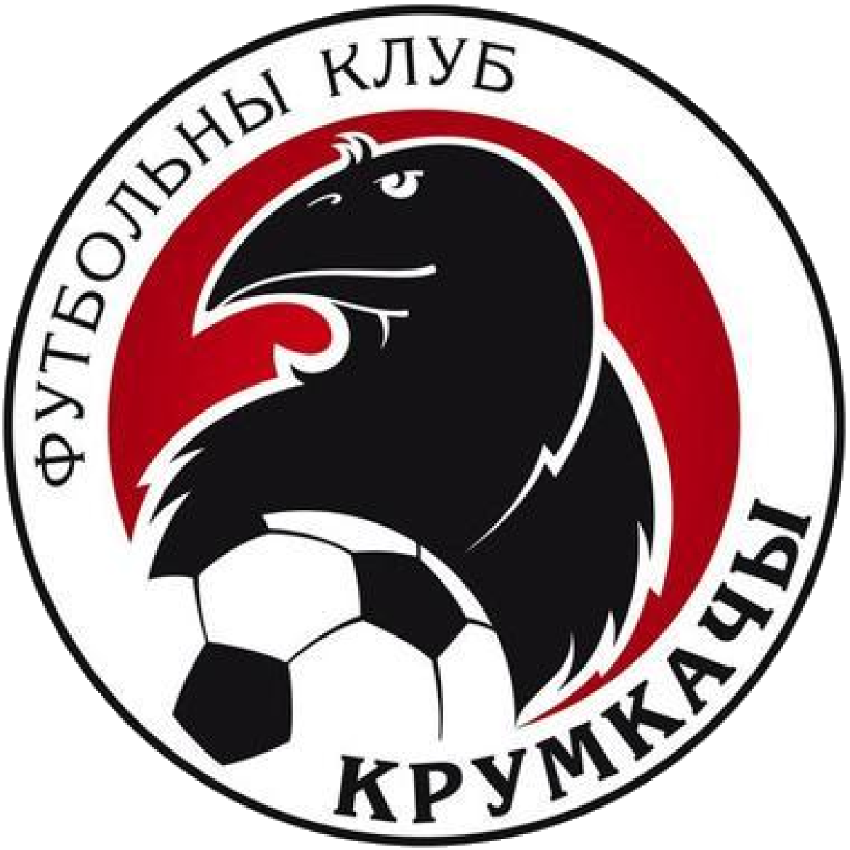ФШ ФК «Крумкачи» Минск, Фото