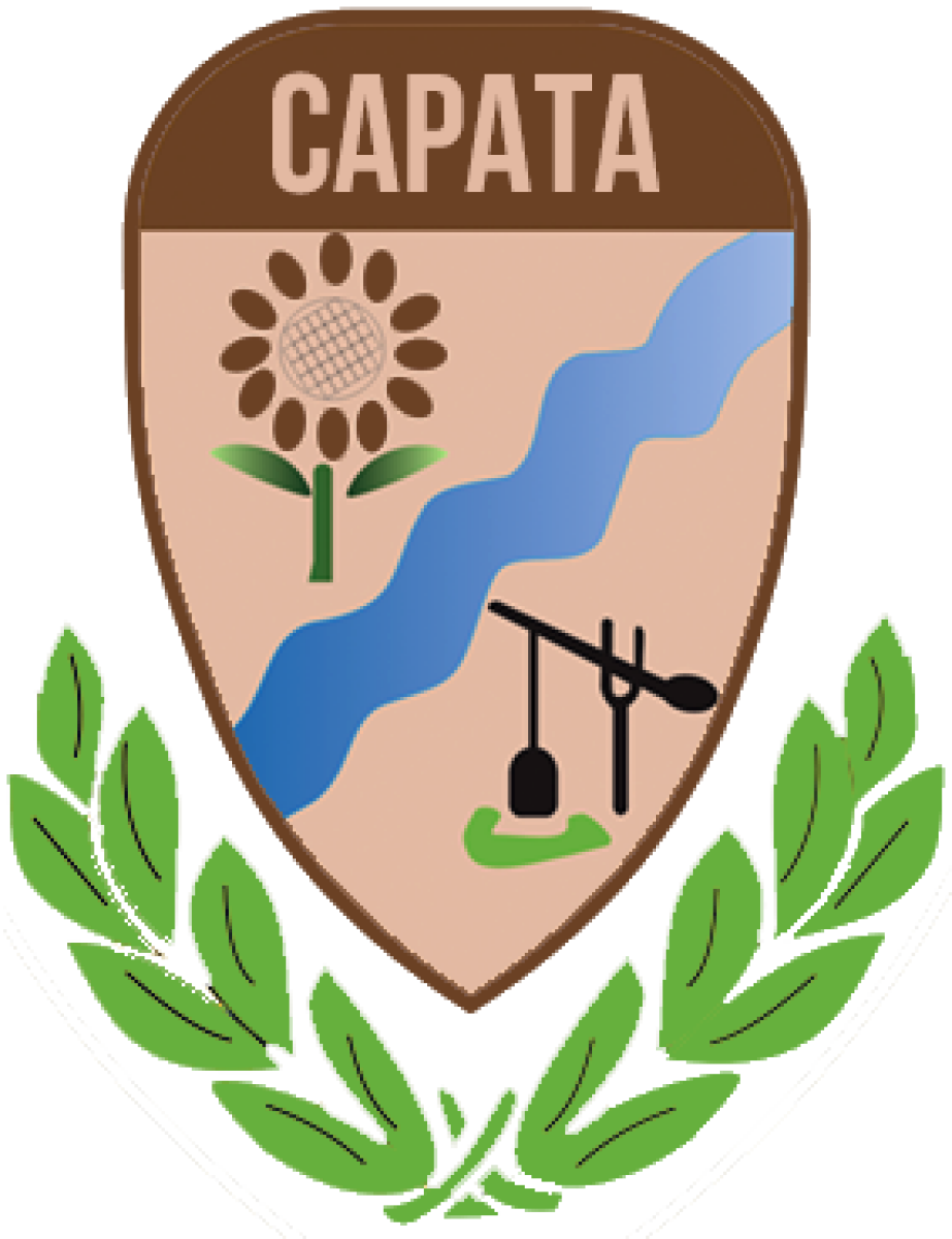 «Сарата» Сарата, Фото